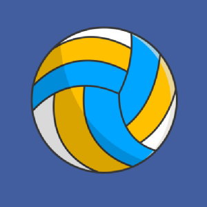Logo volleybal clinic